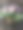 花瓶里的花。图片下载
