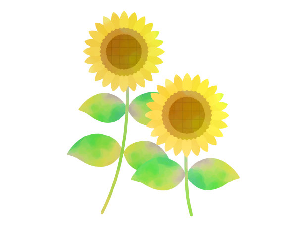 向日葵水彩图片下载