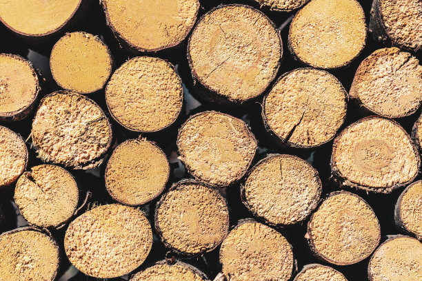 木柴的质地有裂缝。木材抽象背景原木为天然棕色图片下载