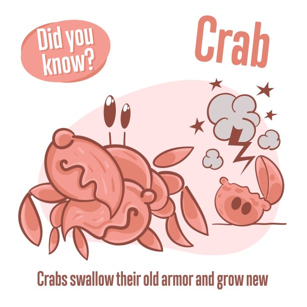关于螃蟹的有趣事实。你知道吗?图片下载