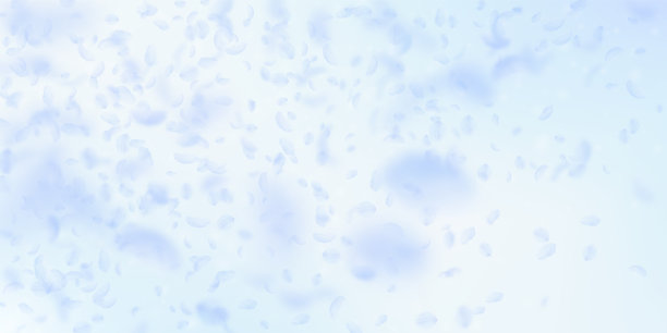 淡蓝色的花瓣飘落。惊人的罗图片下载