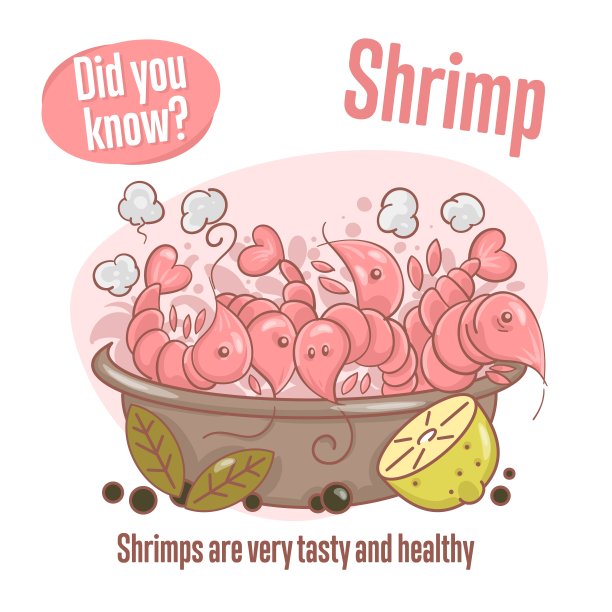 虾。关于虾的有趣事实。你知道吗?图片下载