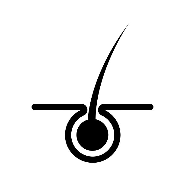 头发图标皮肤平设计图片下载