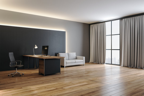 豪华办公室主任图片下载