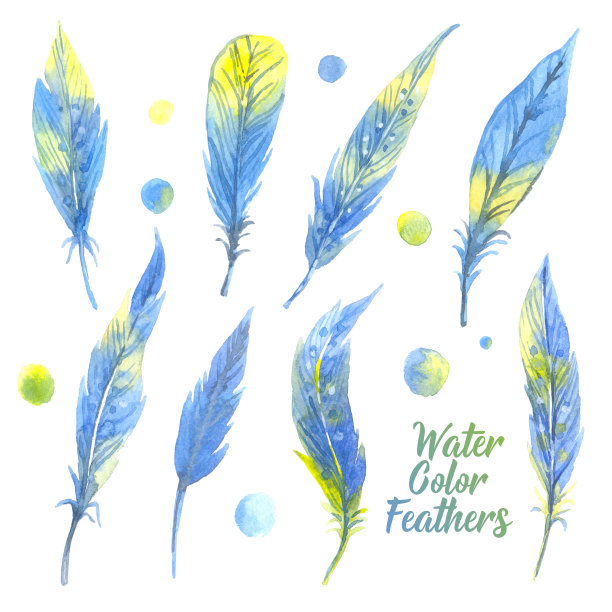水彩蓝色羽毛套装。手绘插图图片下载