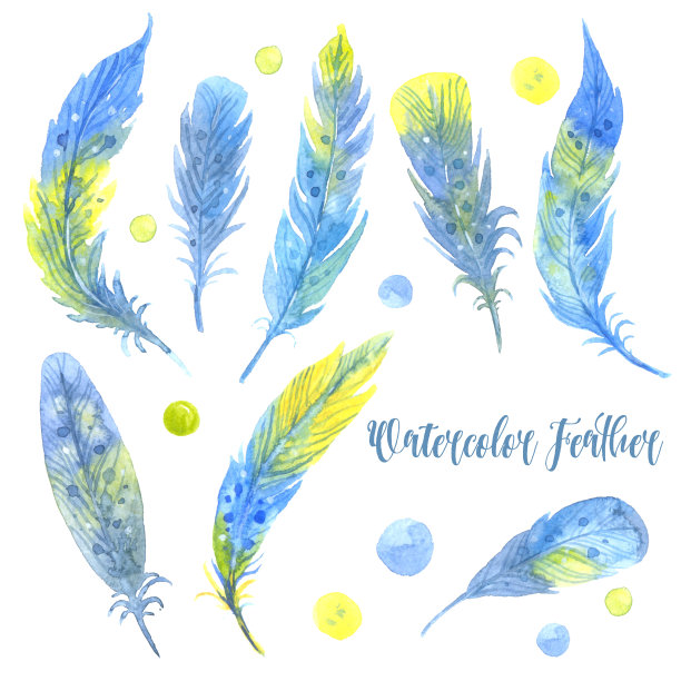 水彩蓝色羽毛套装。手绘插图图片下载