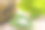 替代和天然药物与草药药丸图片下载