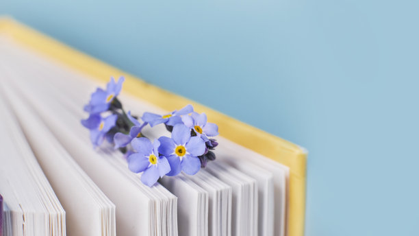 宏照片翻开书，带着春花怀旧的浪漫情怀概念图片下载