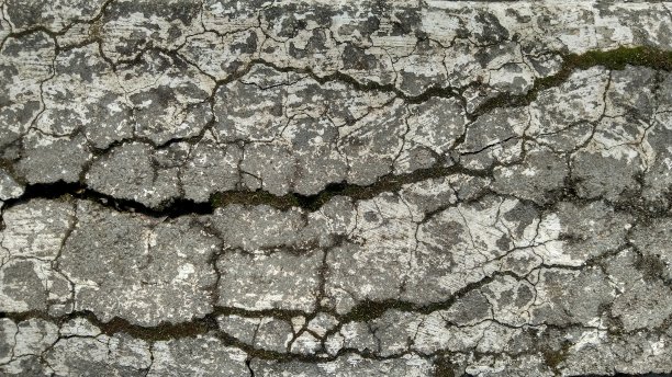 老石头纹理。苔藓覆盖的表面。毁了墙。图片下载