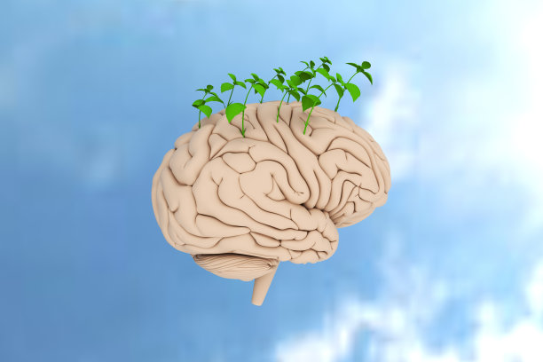 绿色植物从大脑中发芽。3 d渲染。图片下载