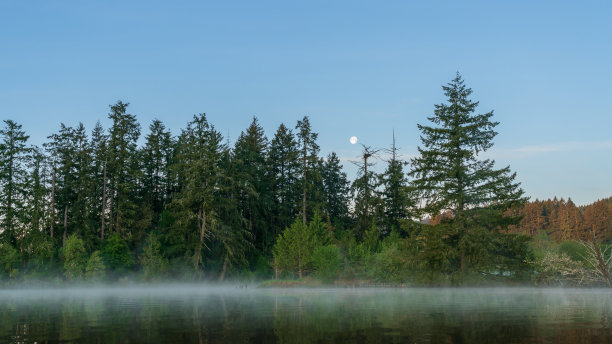 泥湾清晨雾图片下载