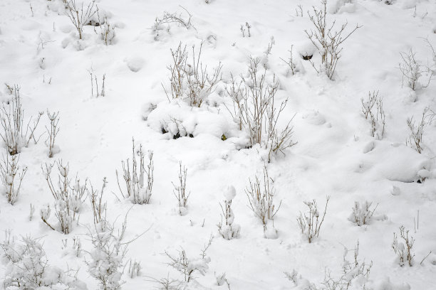 小雪景图片下载