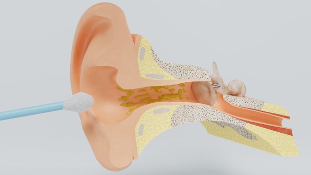 3d渲染结构的人的耳朵。三维演示图片下载