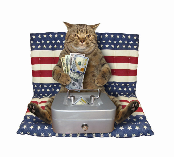 猫用金属安全气垫床图片下载