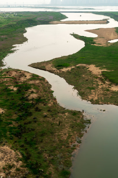 鸟瞰图，森林和湖泊图片下载