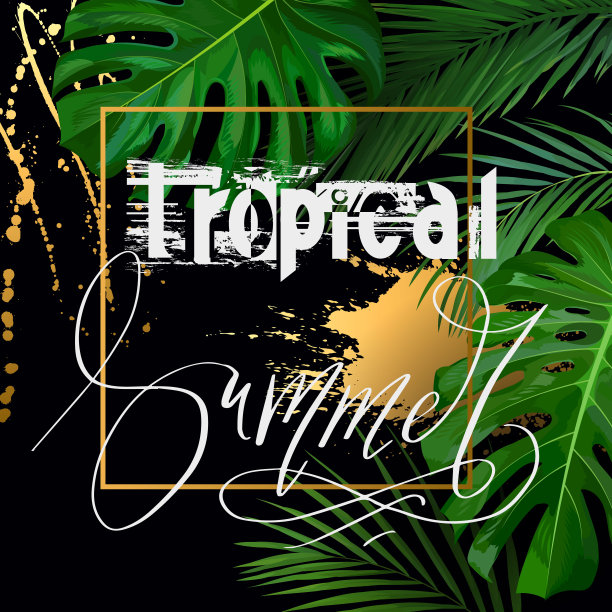 热带夏季印花与树叶的t恤设计图片下载