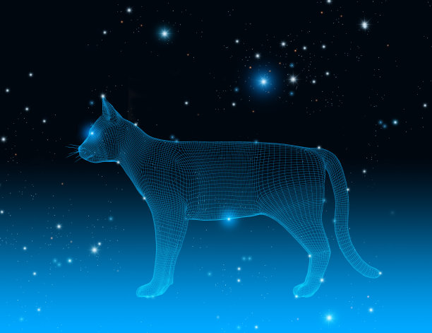 线框猫在黑暗的空间与星星，星座，3d插图图片下载