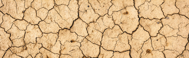 干燥的土地。背景和纹理。全景。图片下载