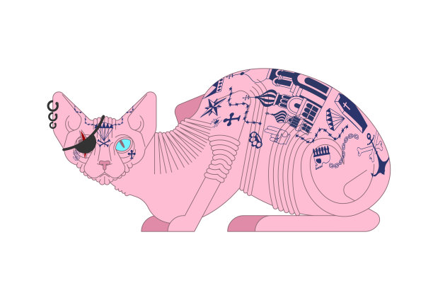 有纹身的斯芬克斯猫。宠物恶霸和罪犯。坏男孩的动物图片下载