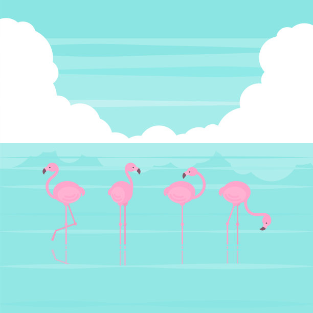 夏天海滩火烈鸟图片下载