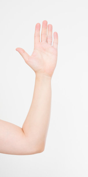 手孤立白色。投票的手。模拟。副本的空间。模板。空白。图片下载