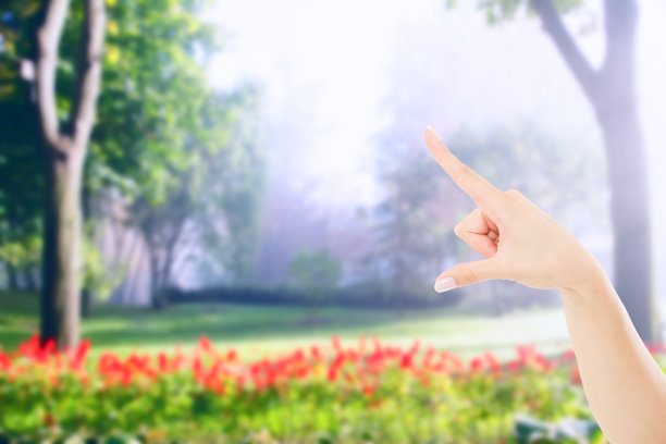 指着女性的手在模糊的花园或公园的背景，模拟起来图片下载