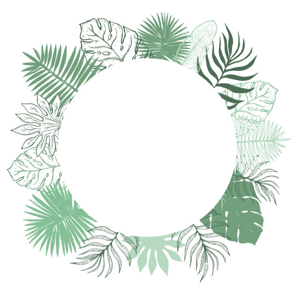 热带植物叶架。植物植物元素背景图片下载