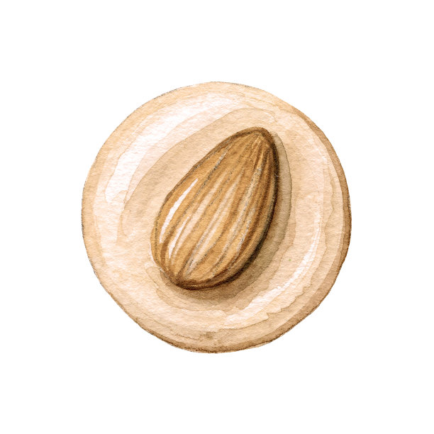 水彩圆形杏仁巧克力糖果图片下载