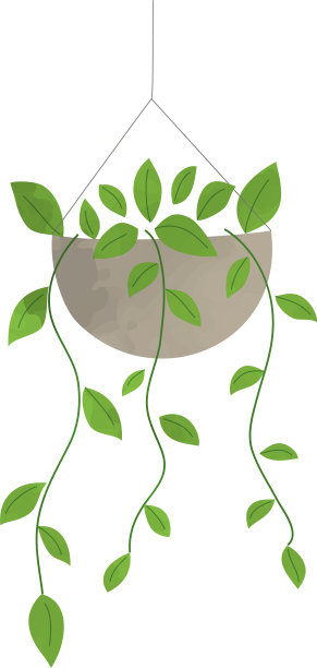 这是一种手绘观赏植物的插图。(水彩风格。)图片下载