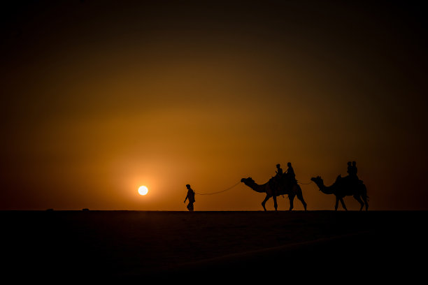 骆驼旅行图片下载