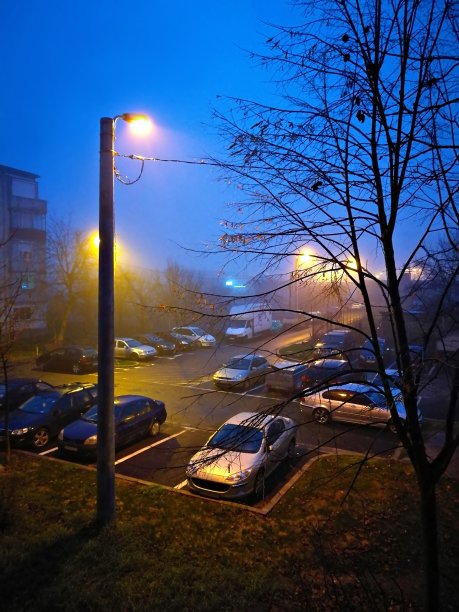 在一个雾蒙蒙的夜晚，停车场前的路灯和树的剪影图片下载