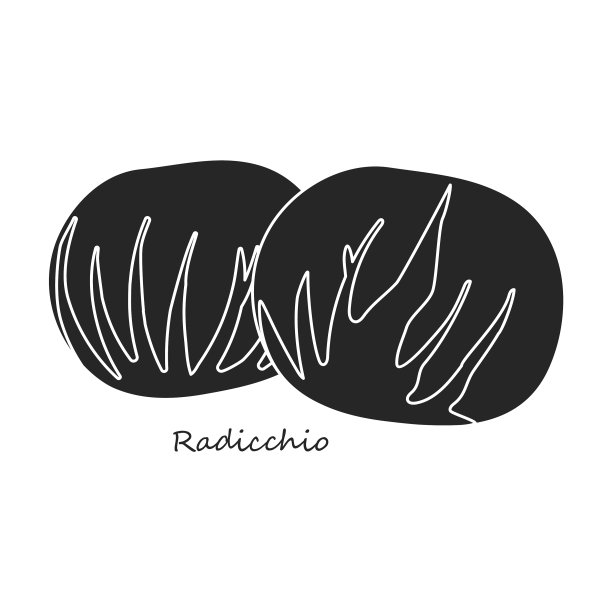 菊苣反十四行图片下载