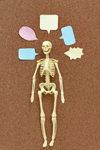 解剖塑料人体骨骼模型在软木板上，想说点什么。图片下载