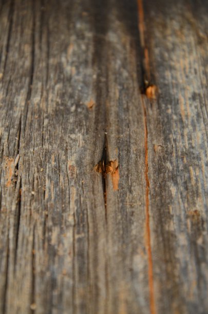 深色木质纹理背景表面具有古老的自然图案图片下载