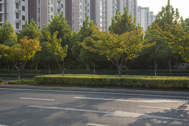城市柏油马路和行道树的映照，高层住宅建筑在远处的行道树后面图片下载