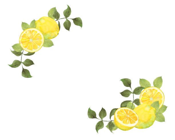 柠檬和树叶图片下载