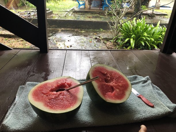 整个西瓜图片下载