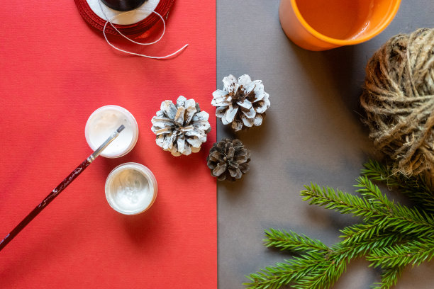 05/14/2020俄罗斯。圣彼得堡。圣诞装饰品。原月有球果和冷杉枝。DIY的概念。一步一步的照片说明。步骤2。油漆的疙瘩。图片下载