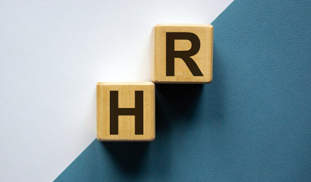 在纸上以蓝色和白色为背景的字母hr的木头立方体，复制空间。企业、就业和人力资源概念形象。图片下载