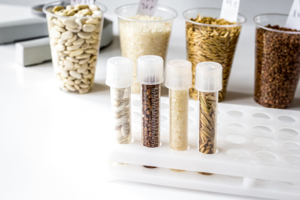 概念健康食品检验在实验室无人图片下载