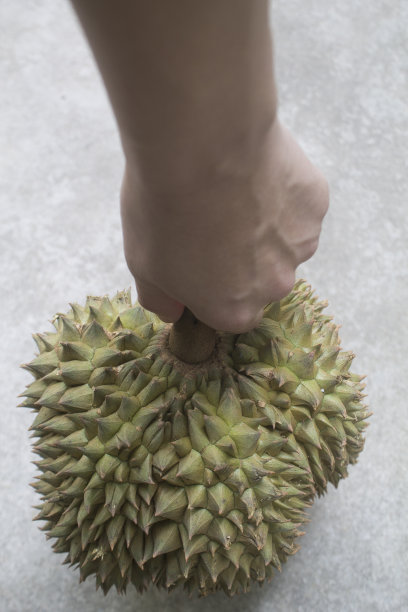 特写榴莲果实图片下载