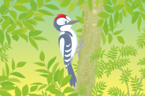 树枝上的啄木鸟图片下载