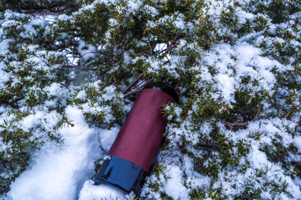 一瓶酒图片下载