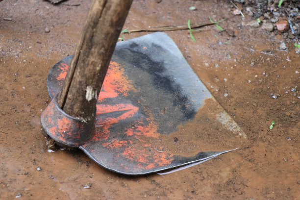 手铲，用于花园和小型种植园中挖掘土壤，由铁金属和木制把手图片下载
