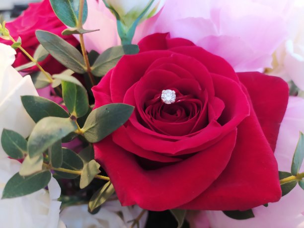 订婚戒指图片下载