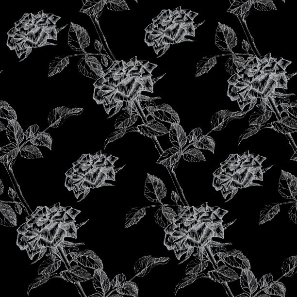 花朵图案玫瑰黑色背景图片下载