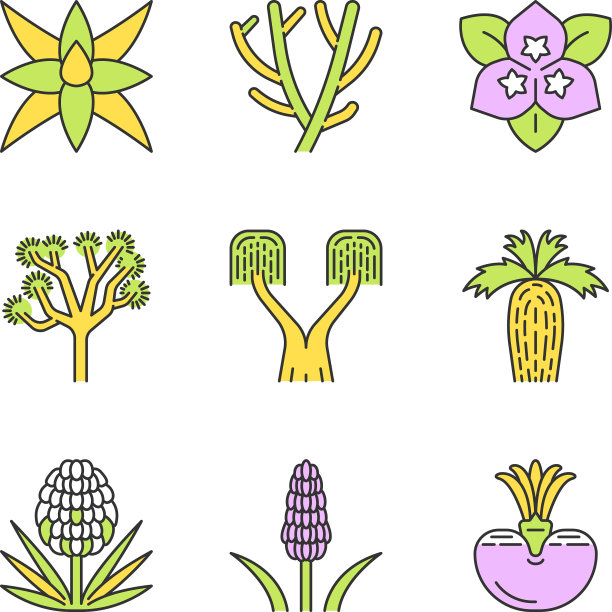 沙漠植物颜色图标设置奇异的植物丝兰图片下载