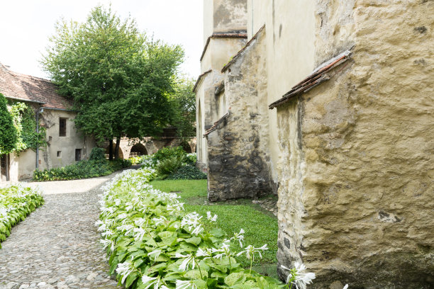 罗马尼亚西斯纳迪的教堂图片下载