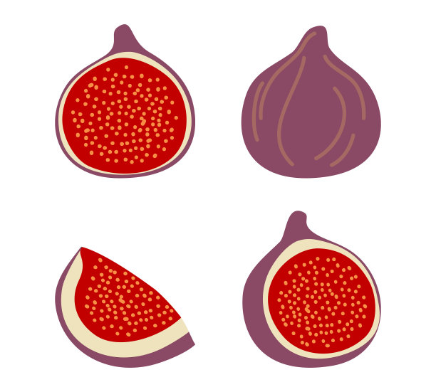 孤立的无花果设计多彩的收藏图片下载