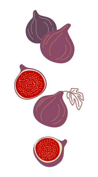 孤立的无花果设计缤纷的落果图片下载